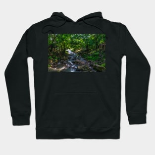 Nature Scene Hoodie